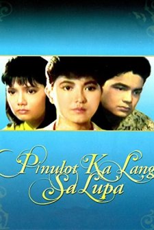 Pinulot Ka Lang Sa Lupa (1987) afişi