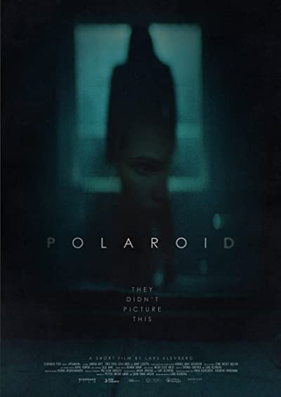 Polaroid (2015) afişi Polaroid (2015) afişi