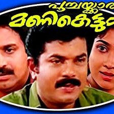 Poochakkaru Mani Kettum (1994) afişi