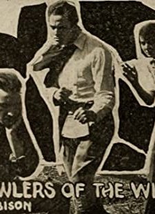 Prowlers Of The Wild (1914) afişi