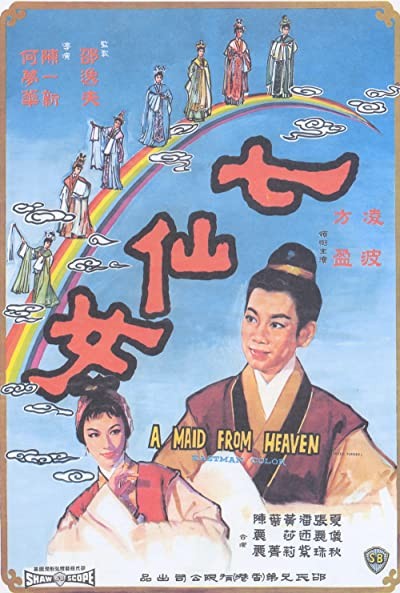 Qi Xian Nu (1963) afişi Qi Xian Nu (1963) afişi