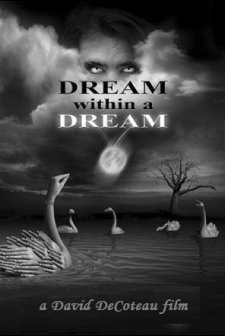 Rüya Içinde Rüya (2011) afişi