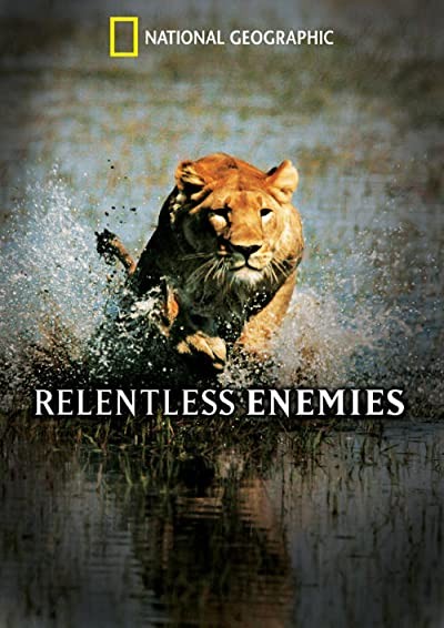 Relentless Enemies (2006) afişi Relentless Enemies (2006) afişi