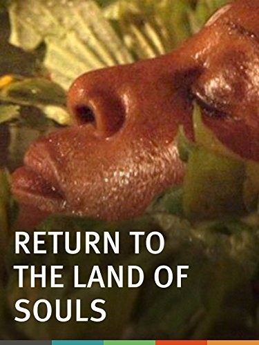 Return To The Land Of Souls (2009) afişi Return To The Land Of Souls (2009) afişi