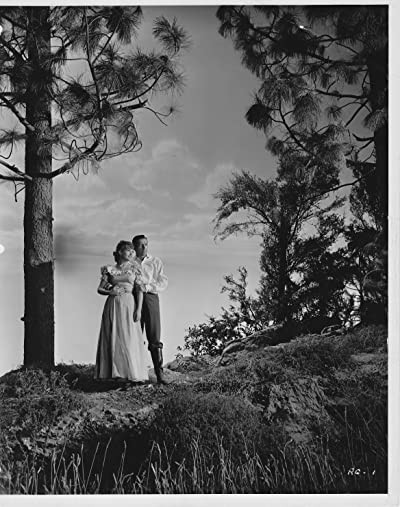 Roaring Guns (1944) afişi Roaring Guns (1944) afişi