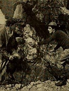 Romance Of Pond Cove (1911) afişi