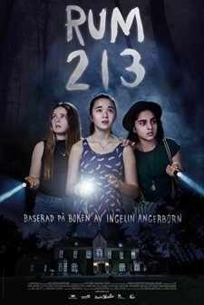 Rum 213 (2017) afişi
