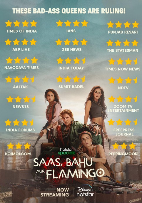 Saas, Bahu Aur Flamingo (2023) afişi Saas, Bahu Aur Flamingo (2023) afişi