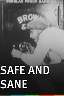 Safe And Sane (1924) afişi