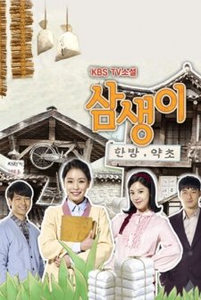 Samsaengi (2013) afişi