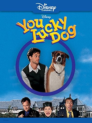 Şanslı Köpek (1998) afişi Şanslı Köpek (1998) afişi