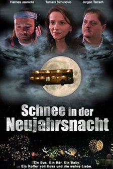 Schnee In Der Neujahrsnacht (1999) afişi