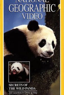Secrets of the Wild Panda (1995) afişi