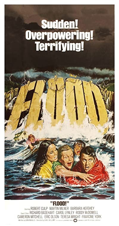 Sel (1976) afişi Sel (1976) afişi