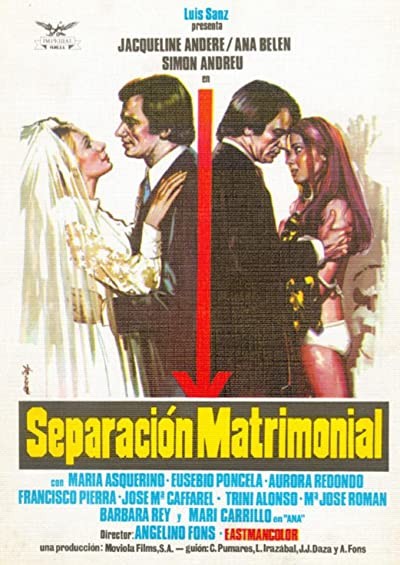 Separación Matrimonial (1973) afişi Separación Matrimonial (1973) afişi