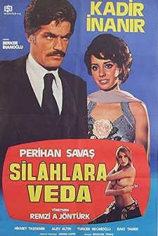 Silahlara Veda (1976) afişi