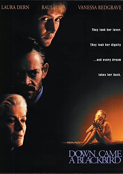Siyah Kuş Düştü (1995) afişi Siyah Kuş Düştü (1995) afişi
