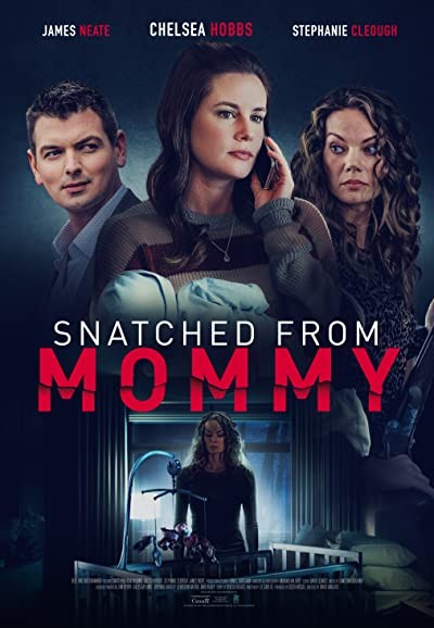 Snatched from Mommy (2021) afişi Snatched from Mommy (2021) afişi