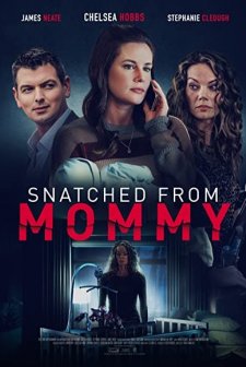 Snatched from Mommy (2021) afişi