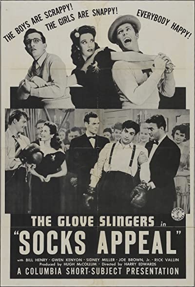 Socks Appeal (1943) afişi Socks Appeal (1943) afişi