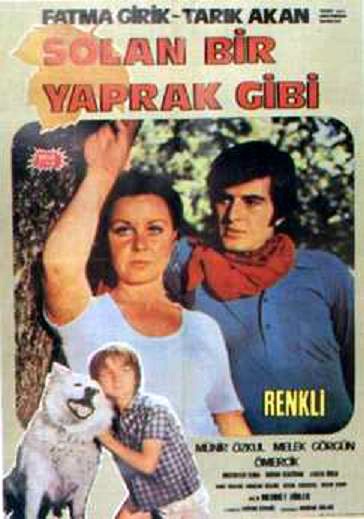 Solan Bir Yaprak Gibi (1971) afişi Solan Bir Yaprak Gibi (1971) afişi