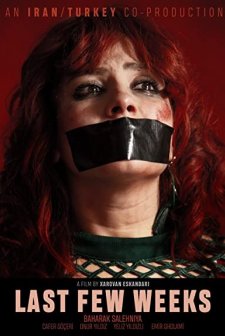 Son Birkaç Hafta (2018) afişi