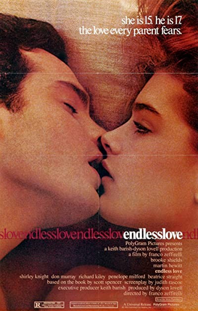 Sonsuz Aşk (1981) afişi Sonsuz Aşk (1981) afişi