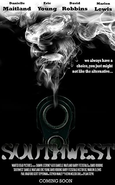 Southwest (2013) afişi Southwest (2013) afişi