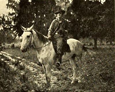 Special Messenger (1911) afişi Special Messenger (1911) afişi