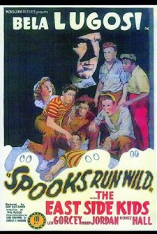 Spooks Run Wild (1941) afişi