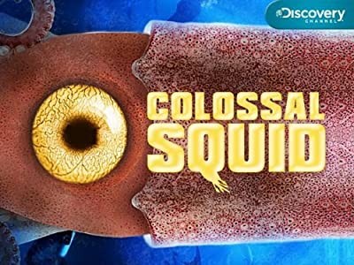 Squid ınvasion (2008) afişi Squid ınvasion (2008) afişi