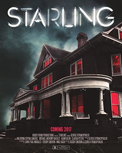 Starling (2017) afişi Starling (2017) afişi