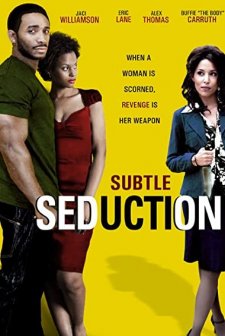 Subtle Seduction (2008) afişi