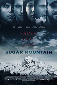 Sugar Mountain (2016) afişi
