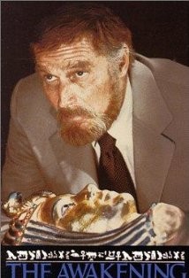 The Awakening (1980) afişi