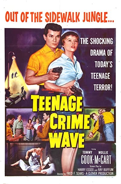 Teen-Age Crime Wave (1955) afişi Teen-Age Crime Wave (1955) afişi
