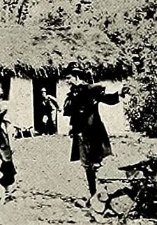 The Banshee (1913) afişi