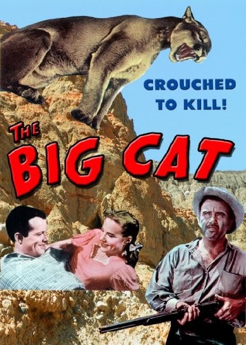 The Big Cat