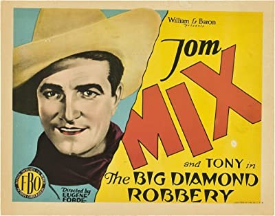 The Big Diamond Robbery (1929) afişi The Big Diamond Robbery (1929) afişi