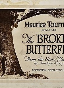 The Broken Butterfly