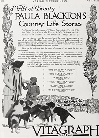 The Diary Of A Puppy (1917) afişi The Diary Of A Puppy (1917) afişi