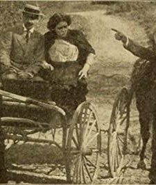 The Flower Of The Ranch