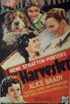 The Harvester (1936) afişi
