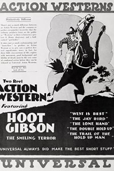 The Jay Bird (1920) afişi