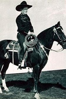 The Law And The Outlaw (1913) afişi