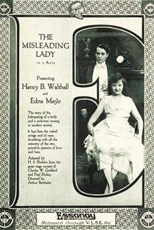 The Misleading Lady (1916) afişi