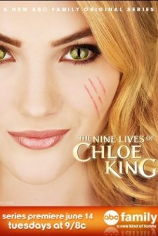 The Nine Lives Of Chloe King (2011) afişi