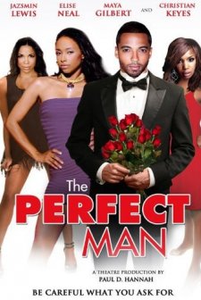 The Perfect Man (2011) afişi