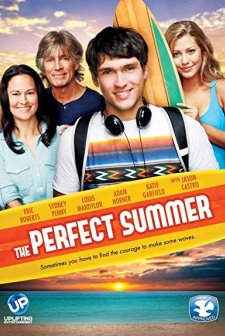 The Perfect Summer (2013) afişi