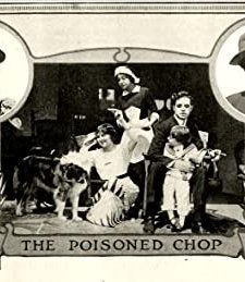 The Poisoned Chop (1913) afişi